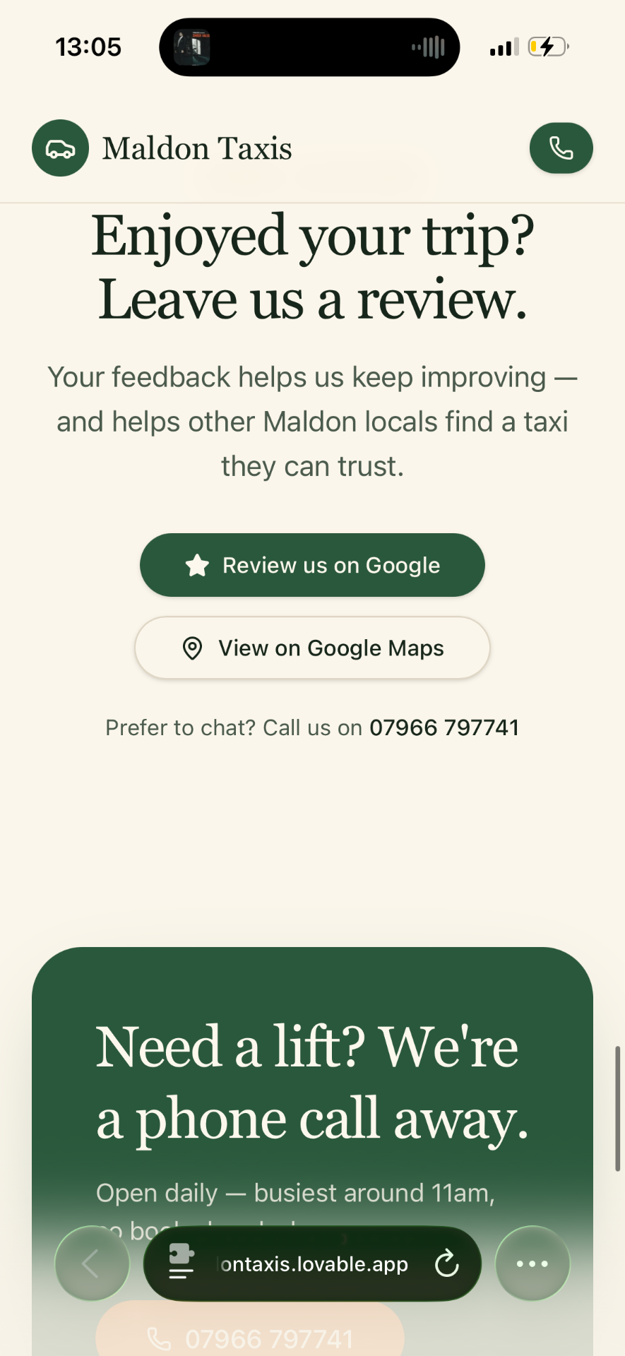 Leave a review — taxi website screenshot 13